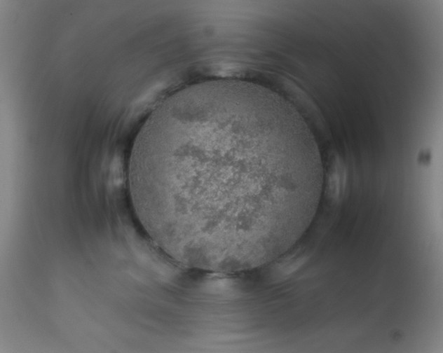 X0000113640620200910021918