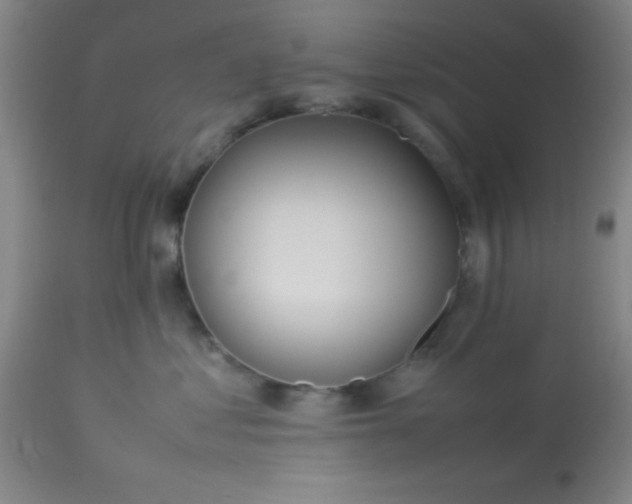 X0000113640621200910021918