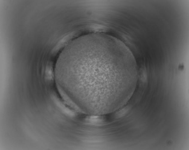 X0000113640622200910021918