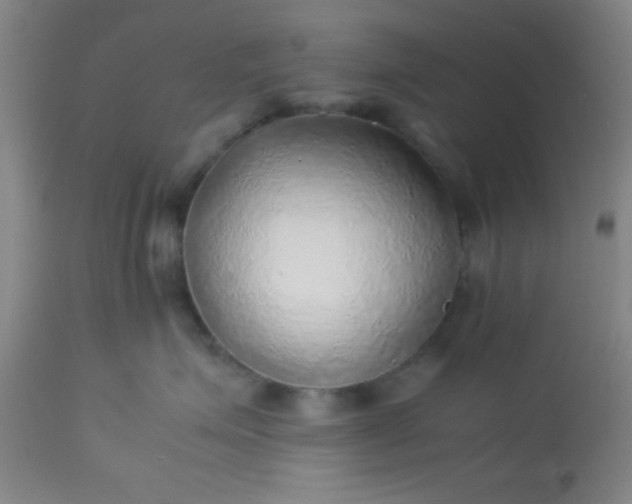 X0000113640623200910021918