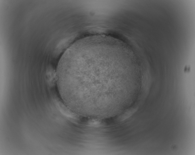 X0000113640624200910021918