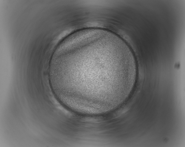 X0000113640625200910021917