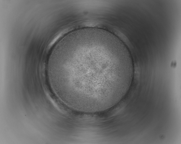 X0000113640626200910021917