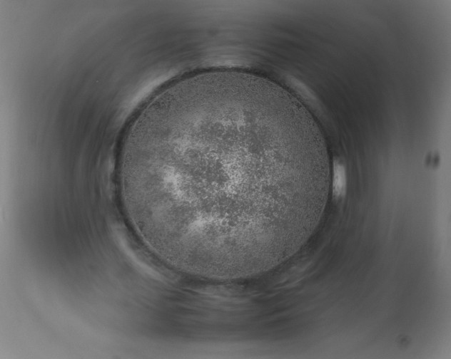 X0000113640627200910021917