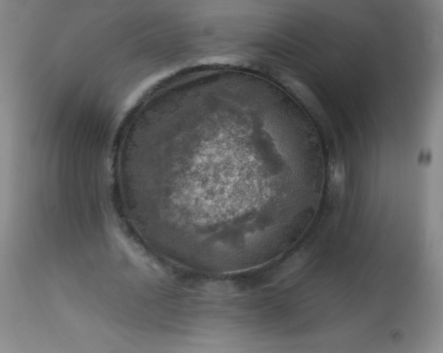 X0000113640628200910021917