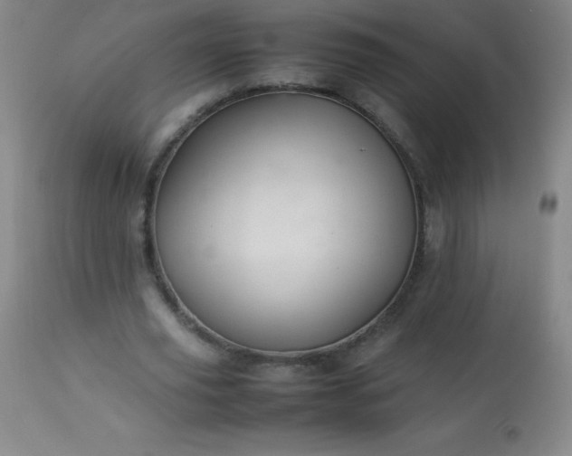 X0000113640629200910021917