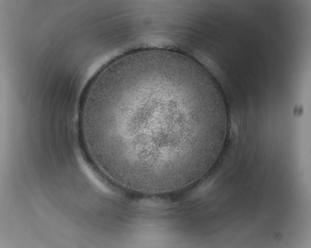 X0000113640630200910021917