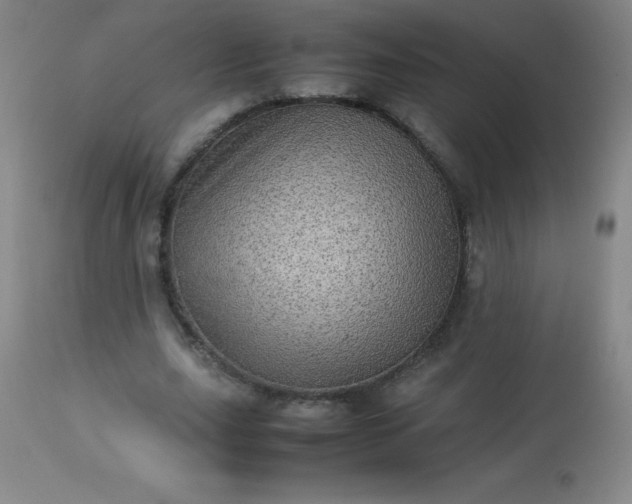 X0000113640631200910021917