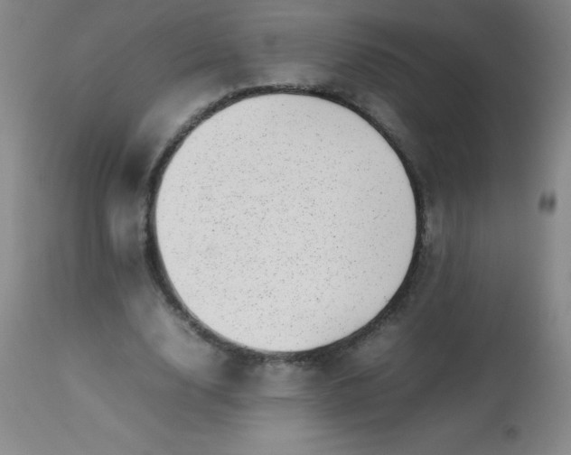 X0000113640632200910021917