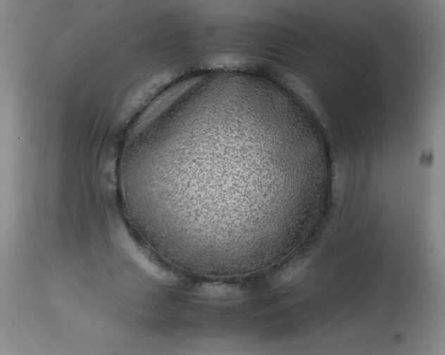 X0000113640633200910021917