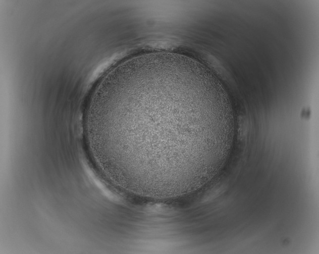 X0000113640634200910021917