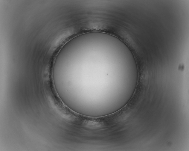 X0000113640635200910021917