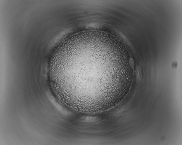 X0000113640637200910021917