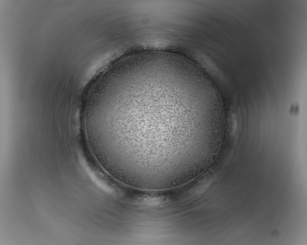 X0000113640638200910021917