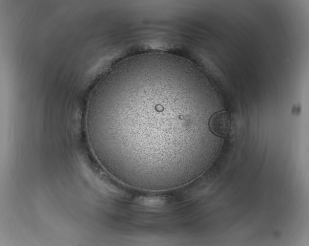 X0000113640639200910021917