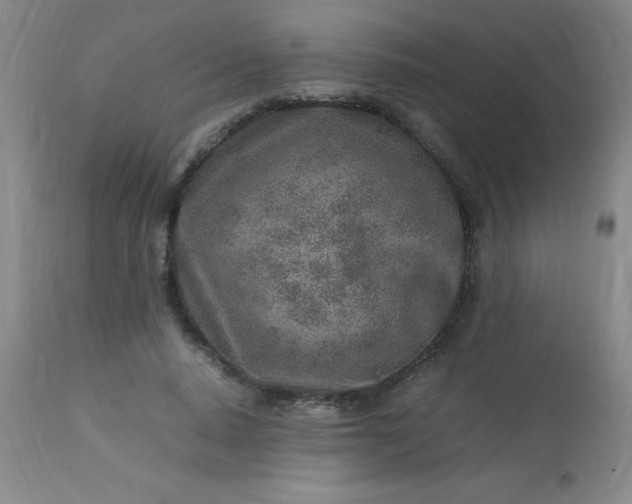 X0000113640640200910021917