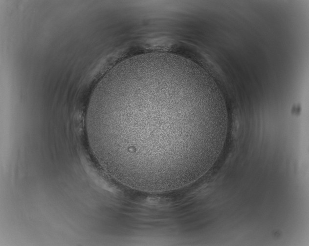 X0000113640641200910021917