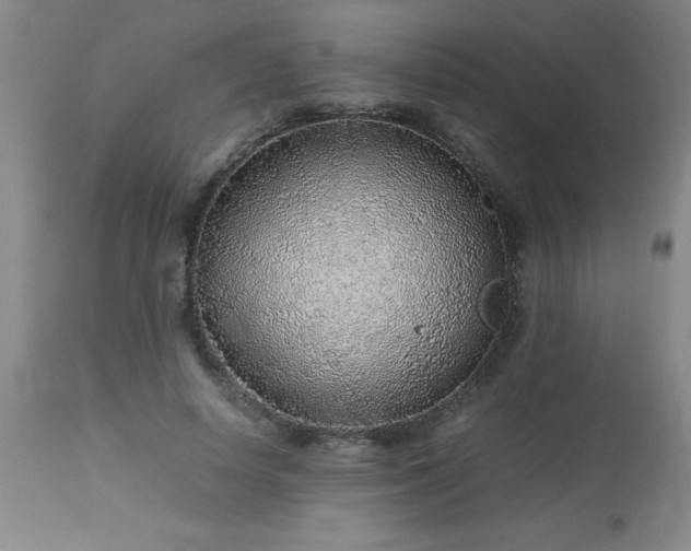 X0000113640642200910021917