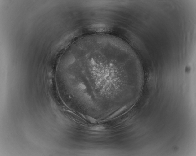 X0000113640643200910021917