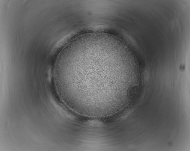 X0000113640644200910021917