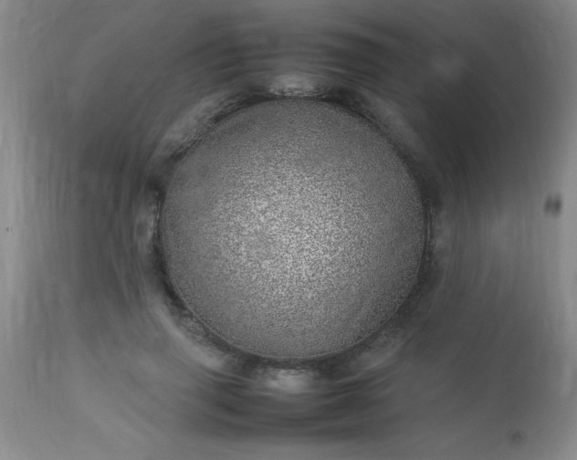 X0000113640645200910021917