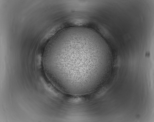 X0000113640646200910021917