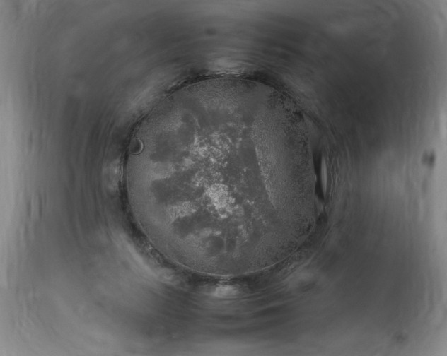 X0000113640647200910021917