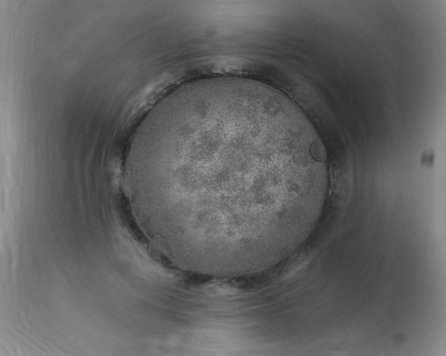 X0000113640648200910021917