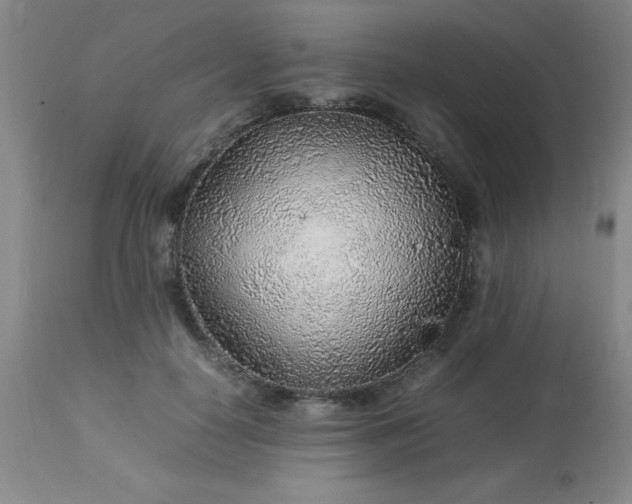 X0000113640650200910021917