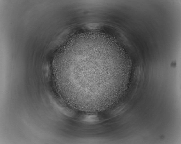 X0000113640651200910021917