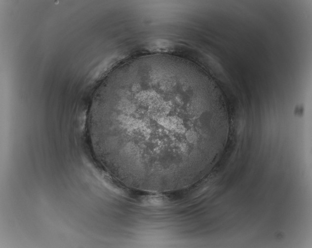 X0000113640652200910021917