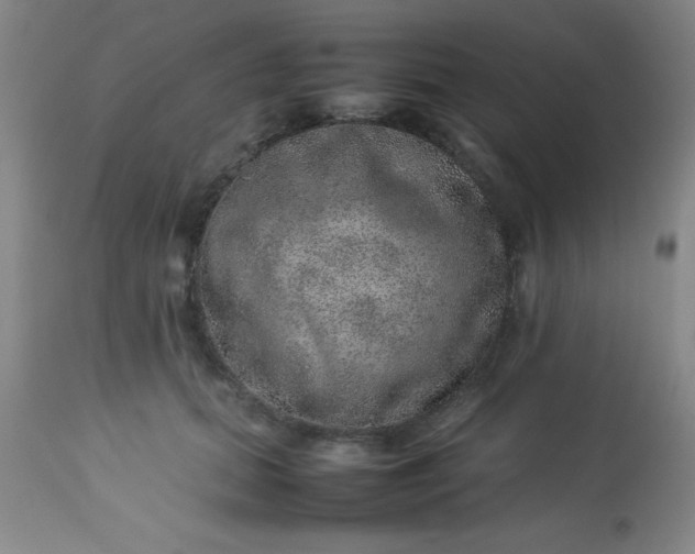 X0000113640655200910021917