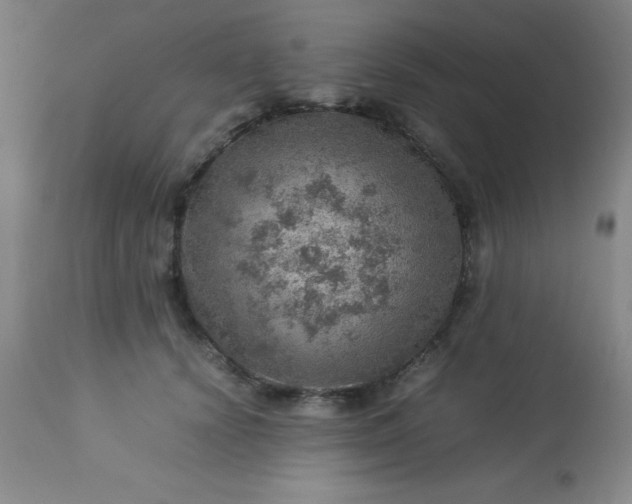 X0000113640656200910021917