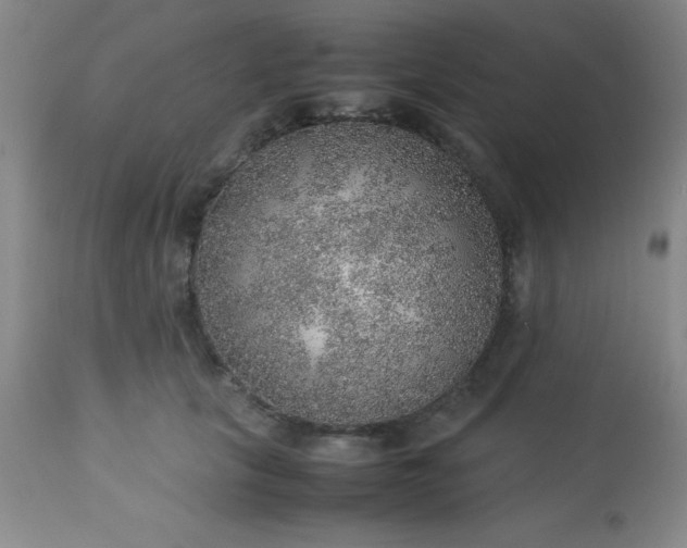 X0000113640657200910021918