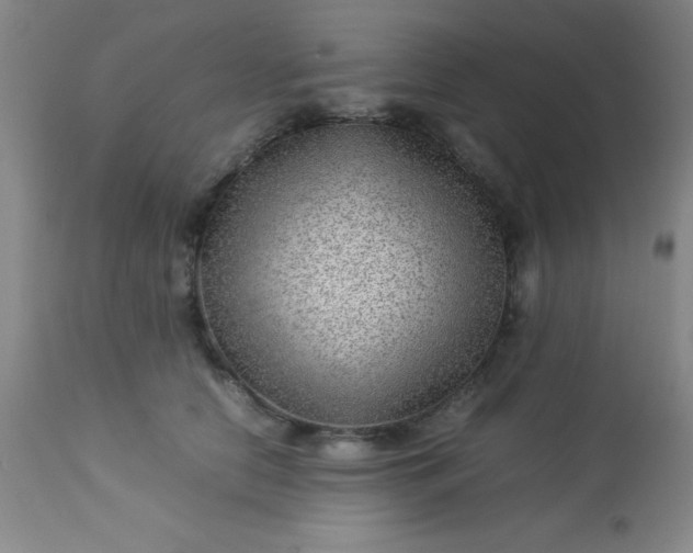 X0000113640658200910021918