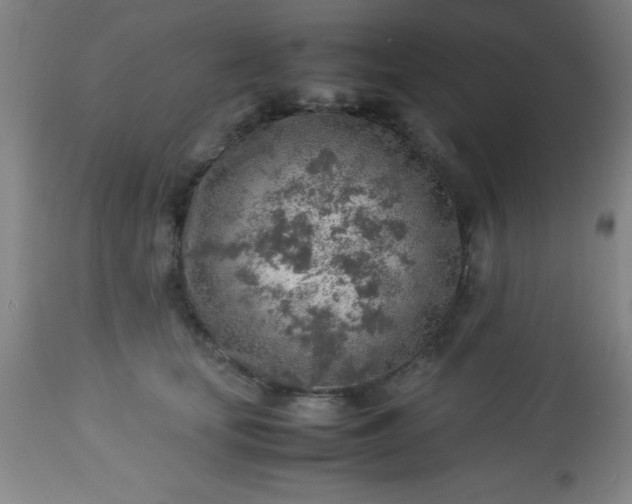 X0000113640659200910021918