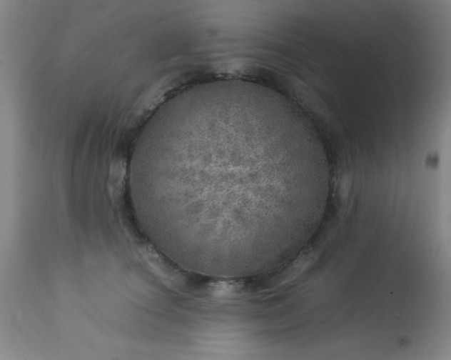 X0000113640660200910021918