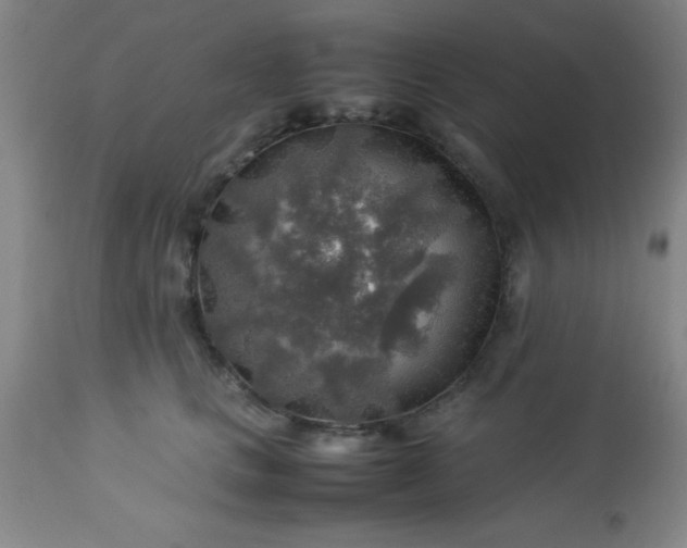 X0000113640661200910021918