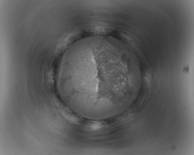 X0000113640663200910021918