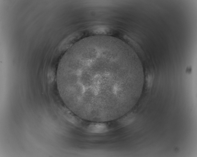 X0000113640665200910021918