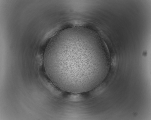 X0000113640666200910021918