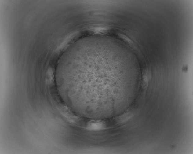 X0000113640667200910021918