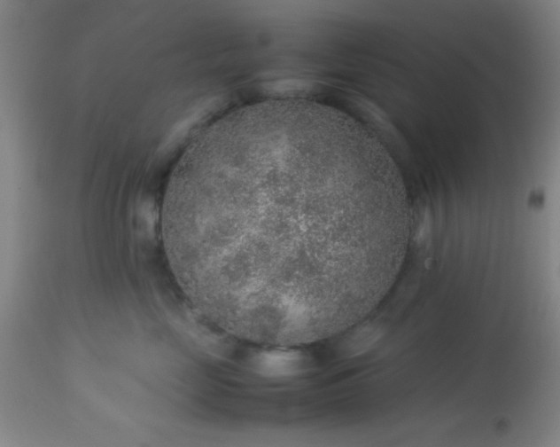 X0000113640669200910021918