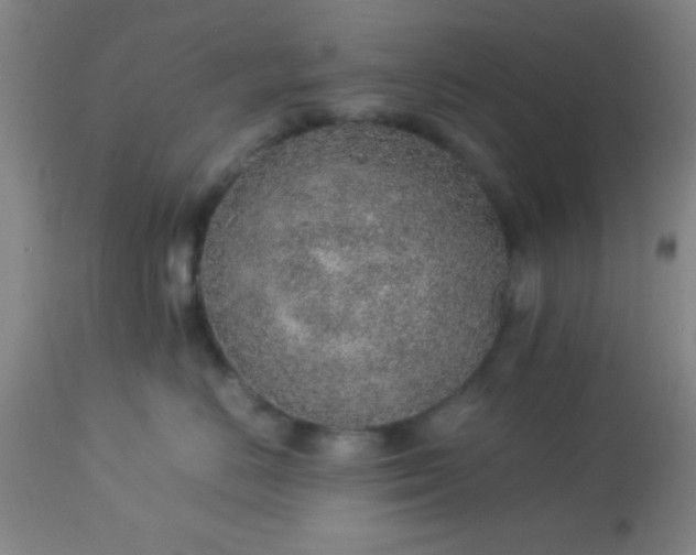 X0000113640670200910021918