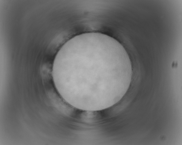 X0000113640672200910021918