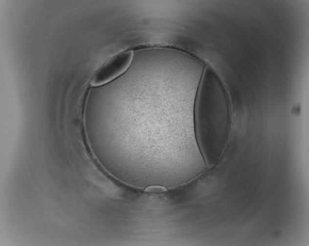 X0000113640673200910021917