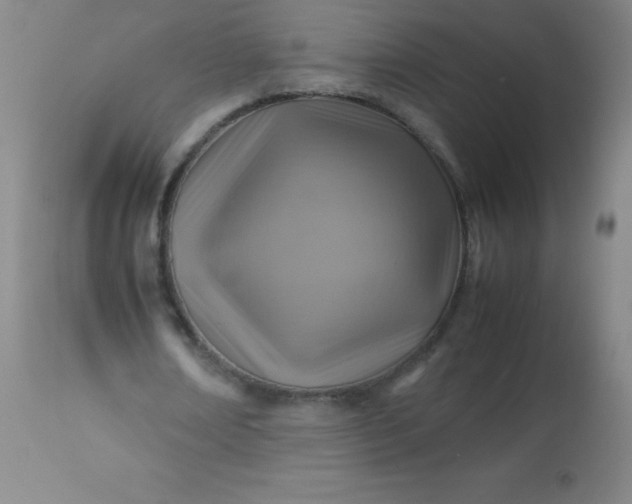 X0000113640674200910021917