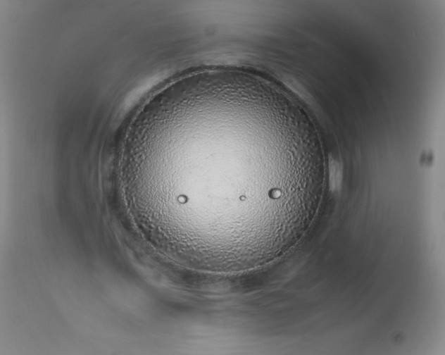 X0000113640675200910021917