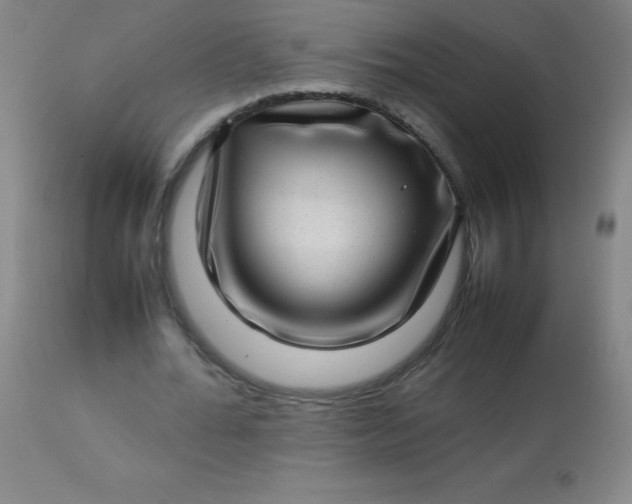 X0000113640676200910021917