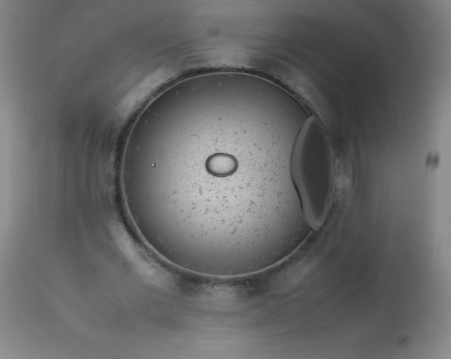 X0000113640677200910021917